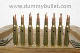 30-06 dummy practice bullet