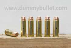 44 magnum practice dummy rounds