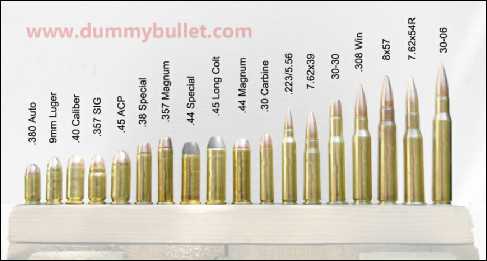 Display ammo dummy rounds
