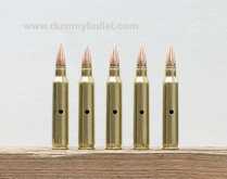 .223 inert training rounds