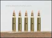 .223 inert training rounds