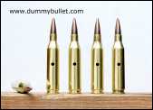 .243 winchester action proving rounds
