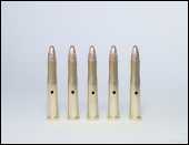 22 Hornet inert dummy bullet