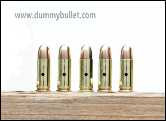 25 Auto Dummy Practice rounds