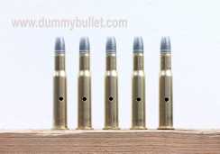 30-30 winchester practice rounds
