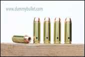 50 AE Action express Desert Eagle training cartridges