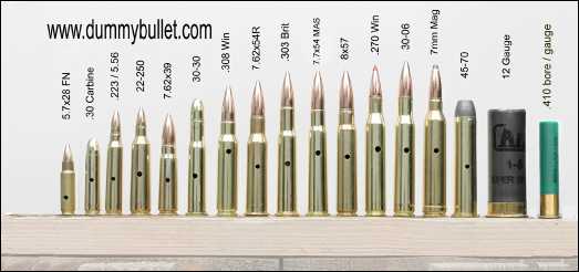 rifle caliber cartridge display assortment